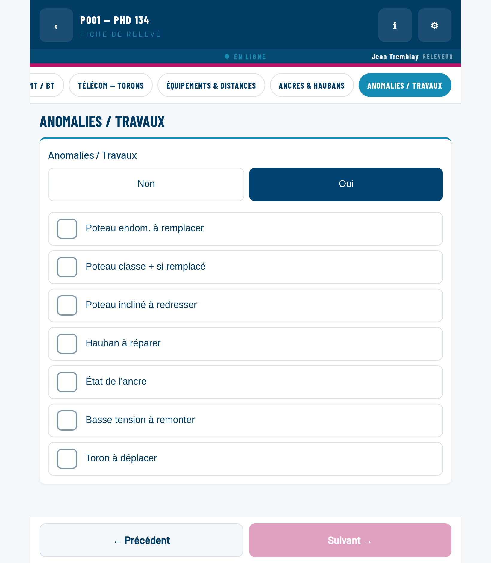 Le bloc Anomalies : l'interrupteur Non / Oui sur Oui, et la liste des sept anomalies à cocher en dessous.